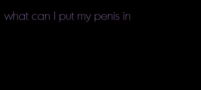 what can I put my penis in