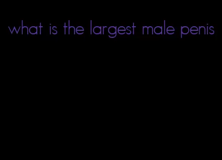 what is the largest male penis