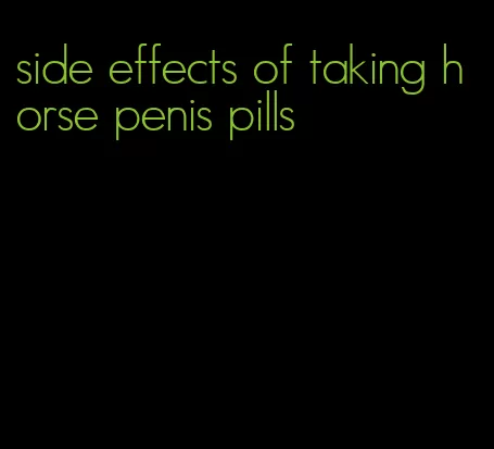 side effects of taking horse penis pills