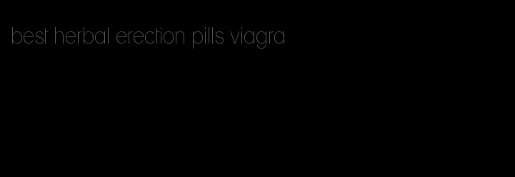 best herbal erection pills viagra