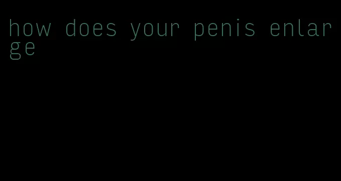 how does your penis enlarge