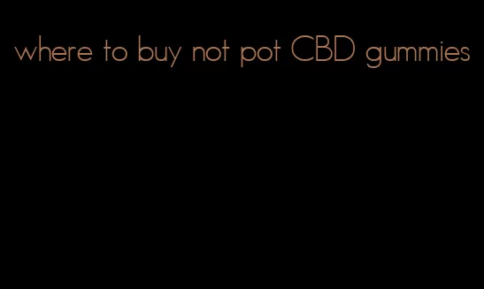 where to buy not pot CBD gummies