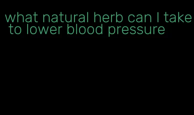 what natural herb can I take to lower blood pressure