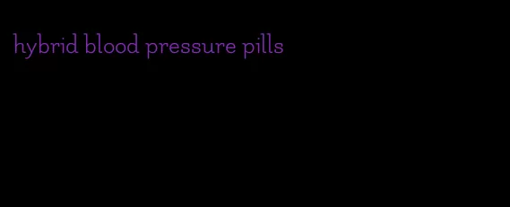 hybrid blood pressure pills