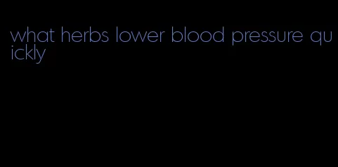 what herbs lower blood pressure quickly