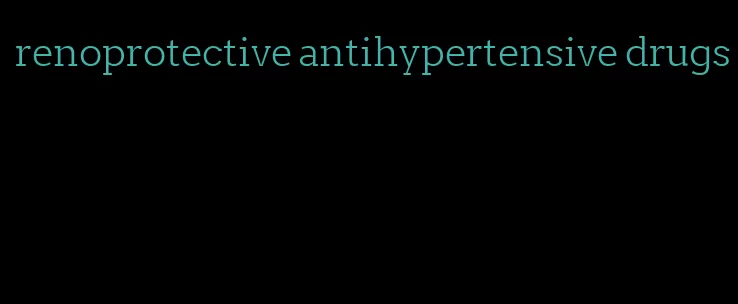 renoprotective antihypertensive drugs