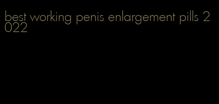 best working penis enlargement pills 2022
