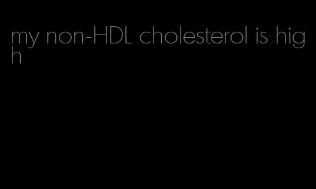 my non-HDL cholesterol is high