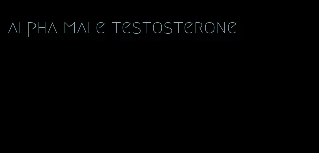 alpha male testosterone