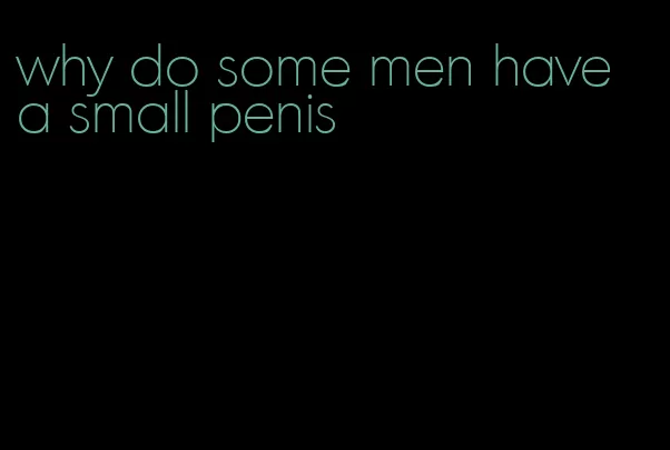 why do some men have a small penis