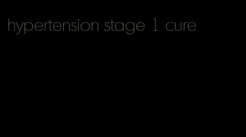hypertension stage 1 cure
