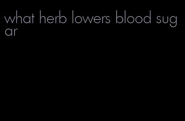 what herb lowers blood sugar