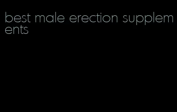 best male erection supplements