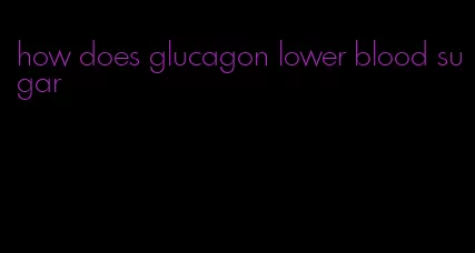 how does glucagon lower blood sugar