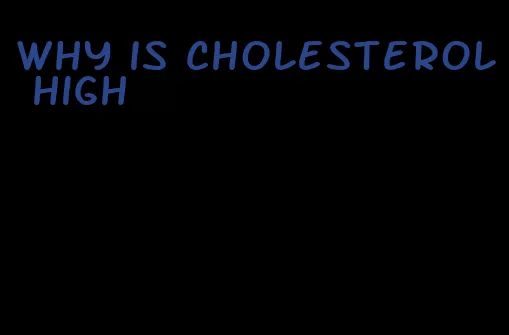 why is cholesterol high