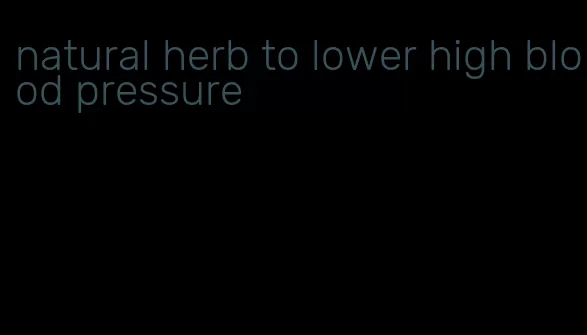 natural herb to lower high blood pressure
