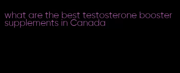 what are the best testosterone booster supplements in Canada