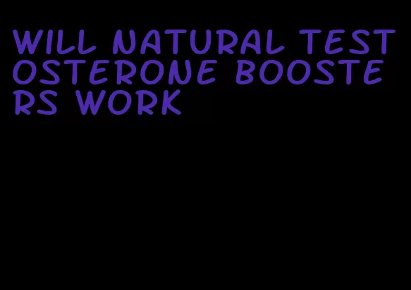 will natural testosterone boosters work