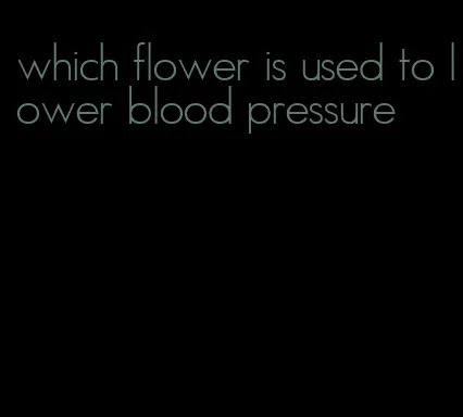 which flower is used to lower blood pressure