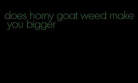 does horny goat weed make you bigger