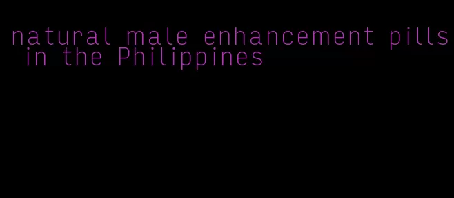 natural male enhancement pills in the Philippines