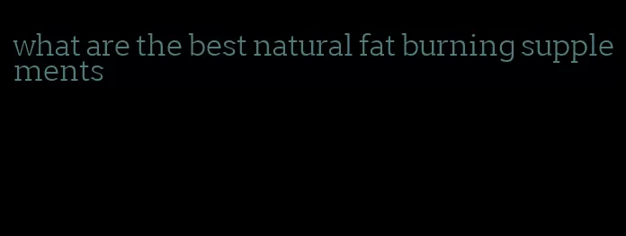 what are the best natural fat burning supplements