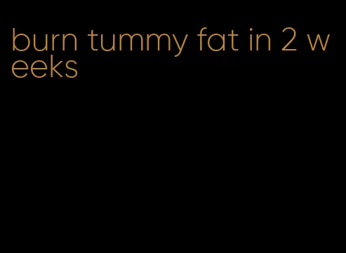 burn tummy fat in 2 weeks