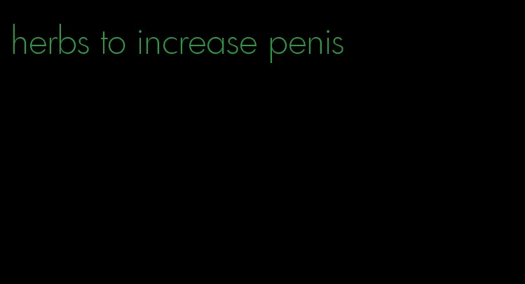 herbs to increase penis