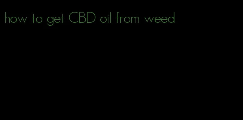how to get CBD oil from weed