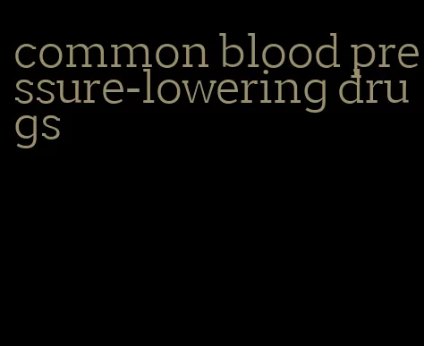 common blood pressure-lowering drugs