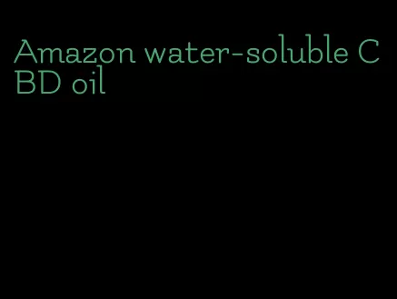 Amazon water-soluble CBD oil