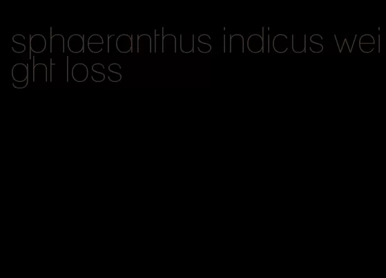 sphaeranthus indicus weight loss