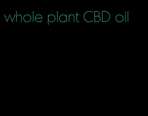 whole plant CBD oil