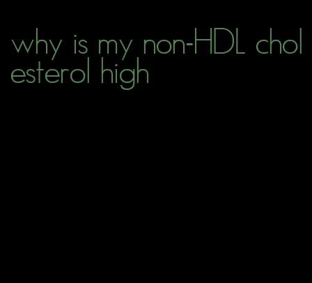 why is my non-HDL cholesterol high
