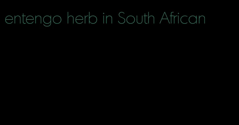entengo herb in South African