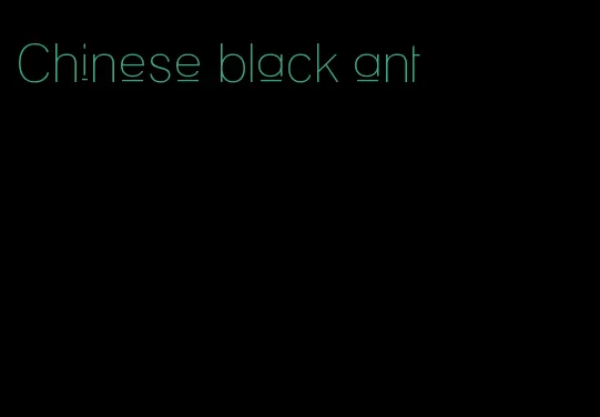 Chinese black ant