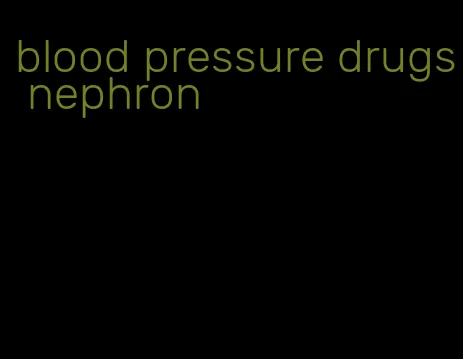 blood pressure drugs nephron